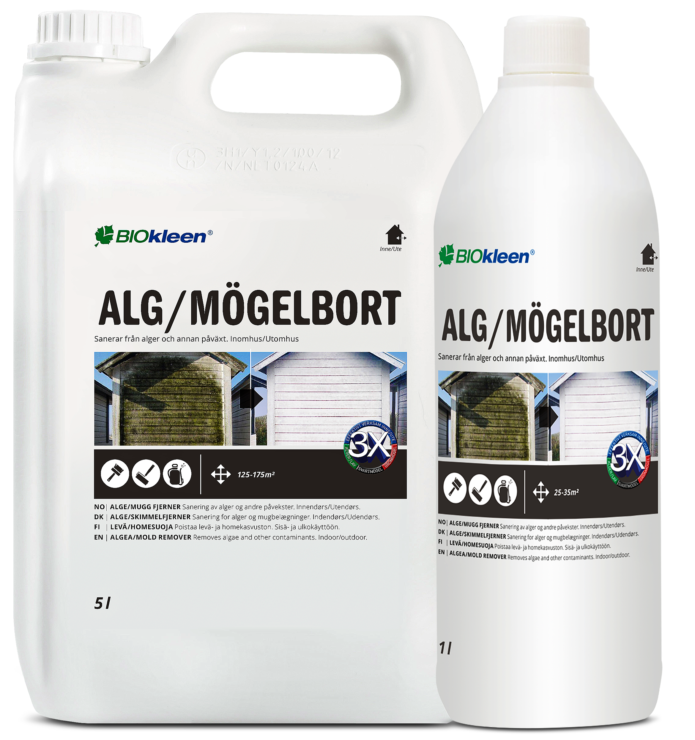 Alg & Mögelbort