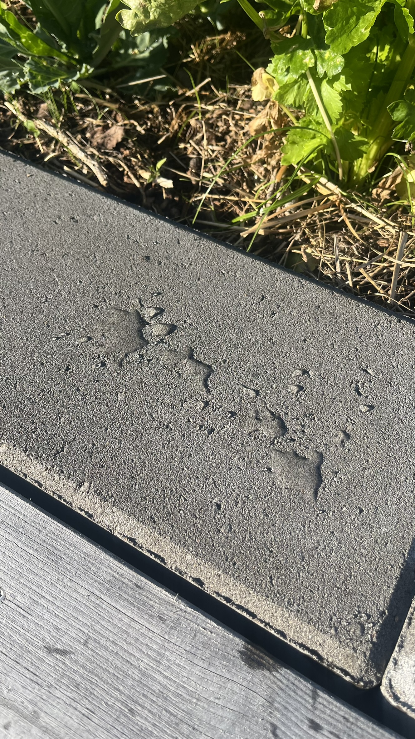 Ytförsegling efter